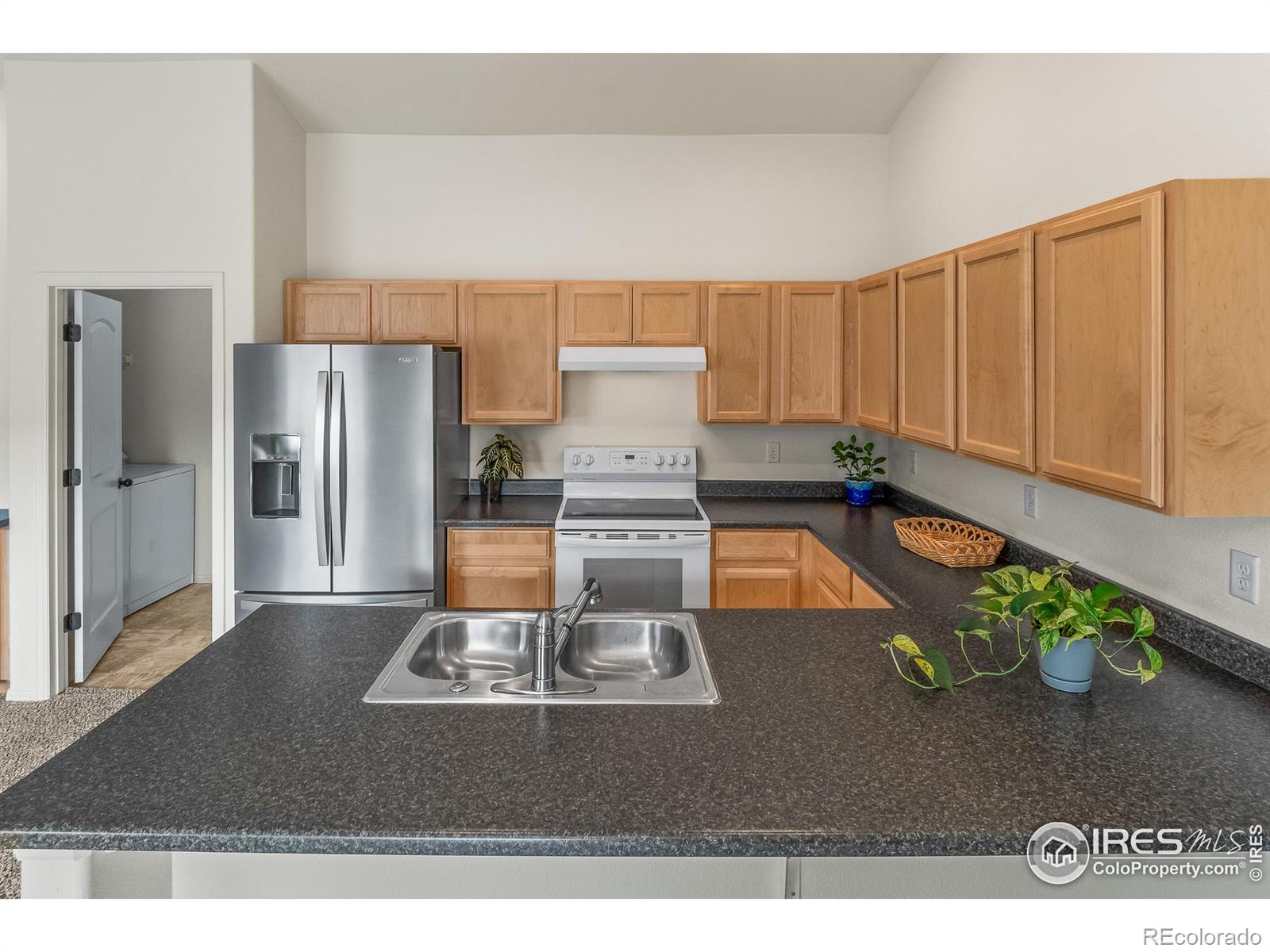 MLS Image #16 for 319  torreys drive,severance, Colorado