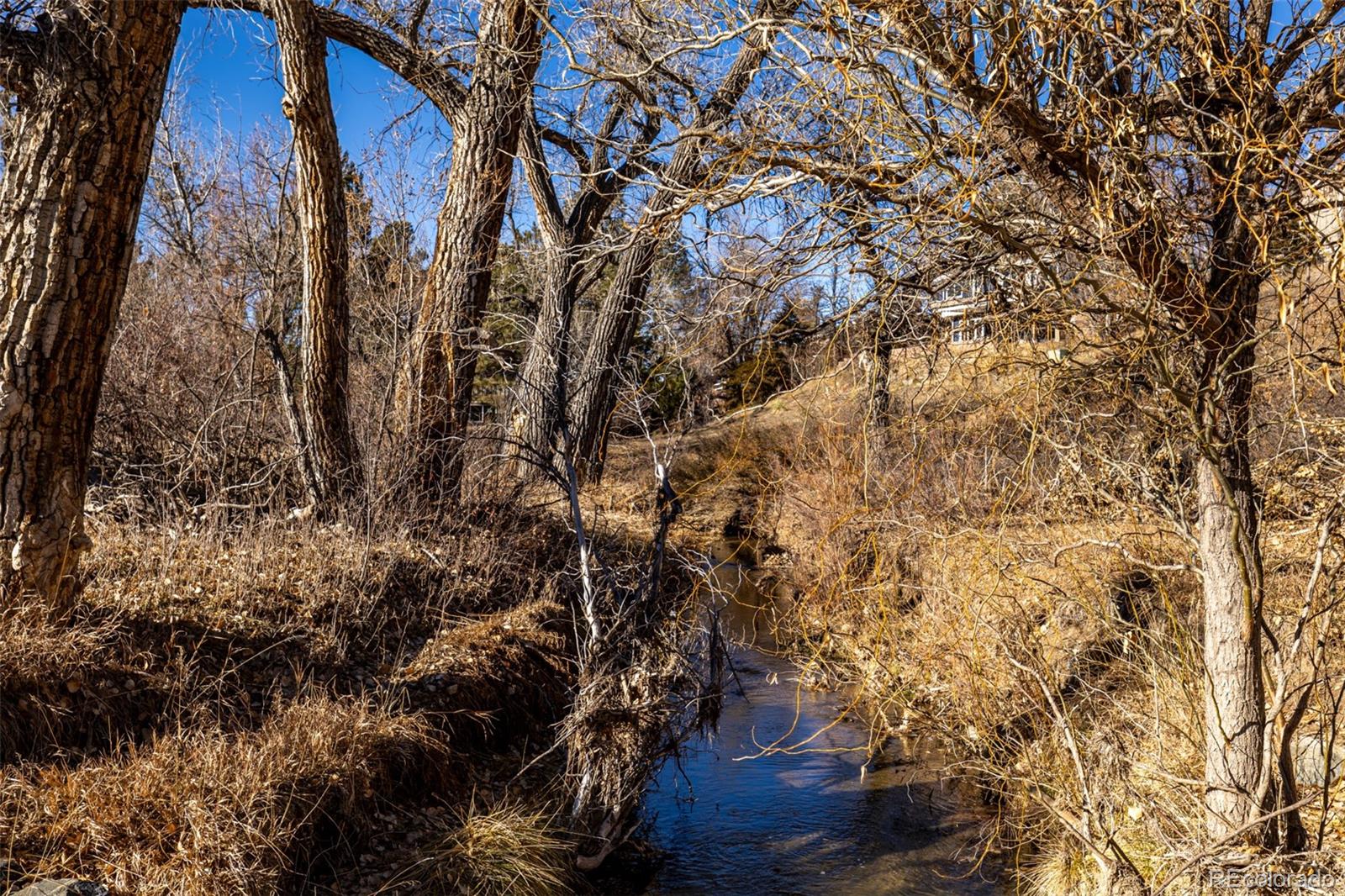 MLS Image #41 for 7234 s fillmore circle,centennial, Colorado