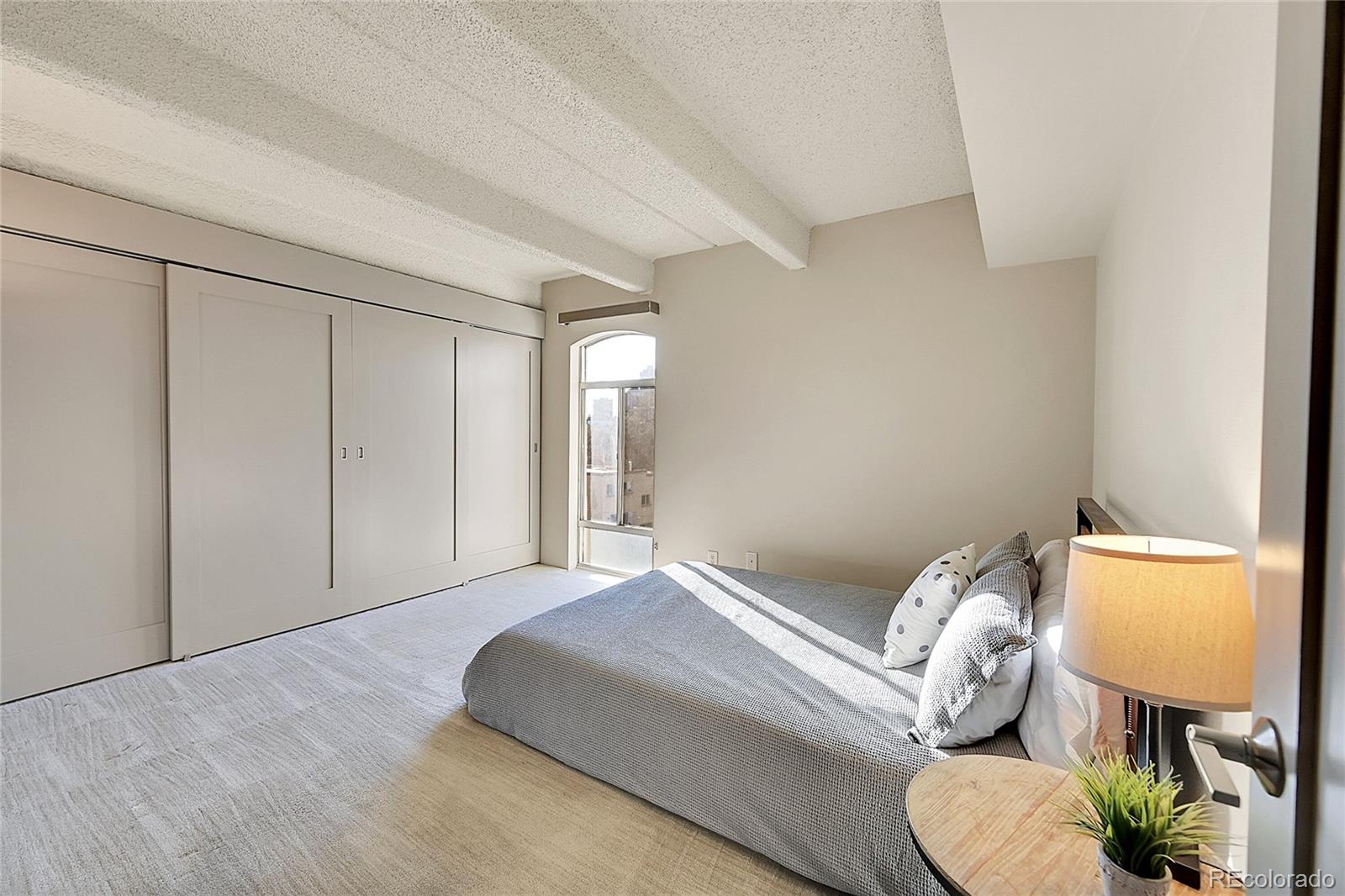 MLS Image #2 for 1365  columbine street 501,denver, Colorado