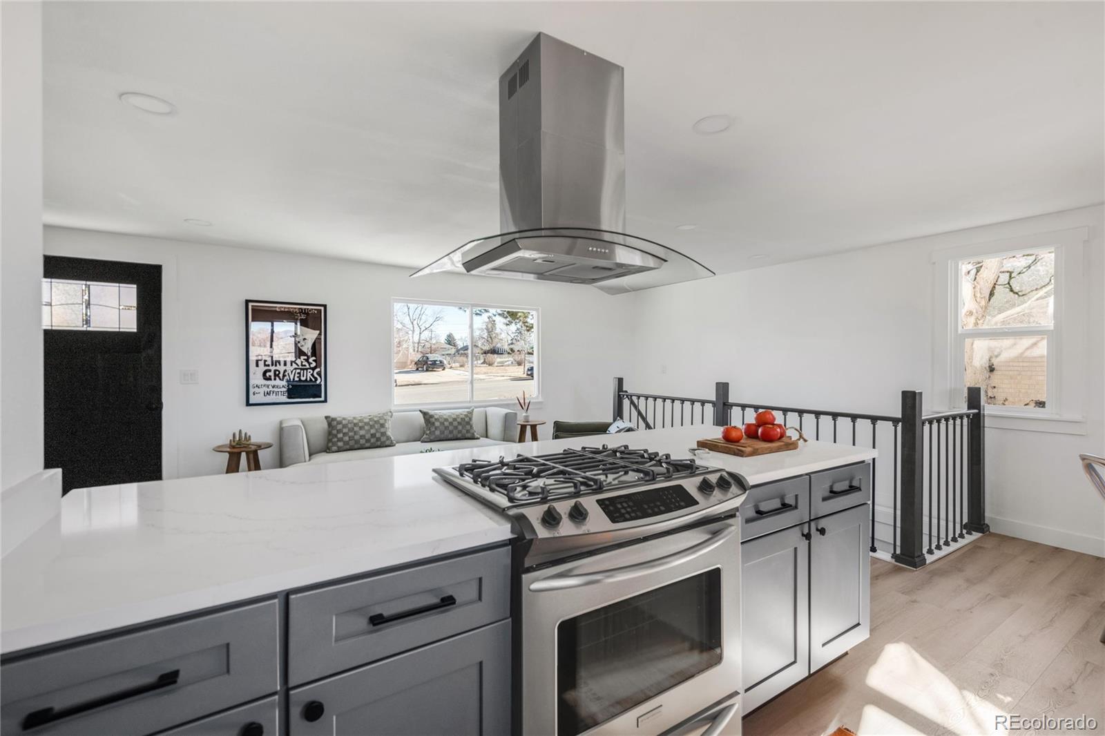 MLS Image #5 for 1765 s irving street,denver, Colorado