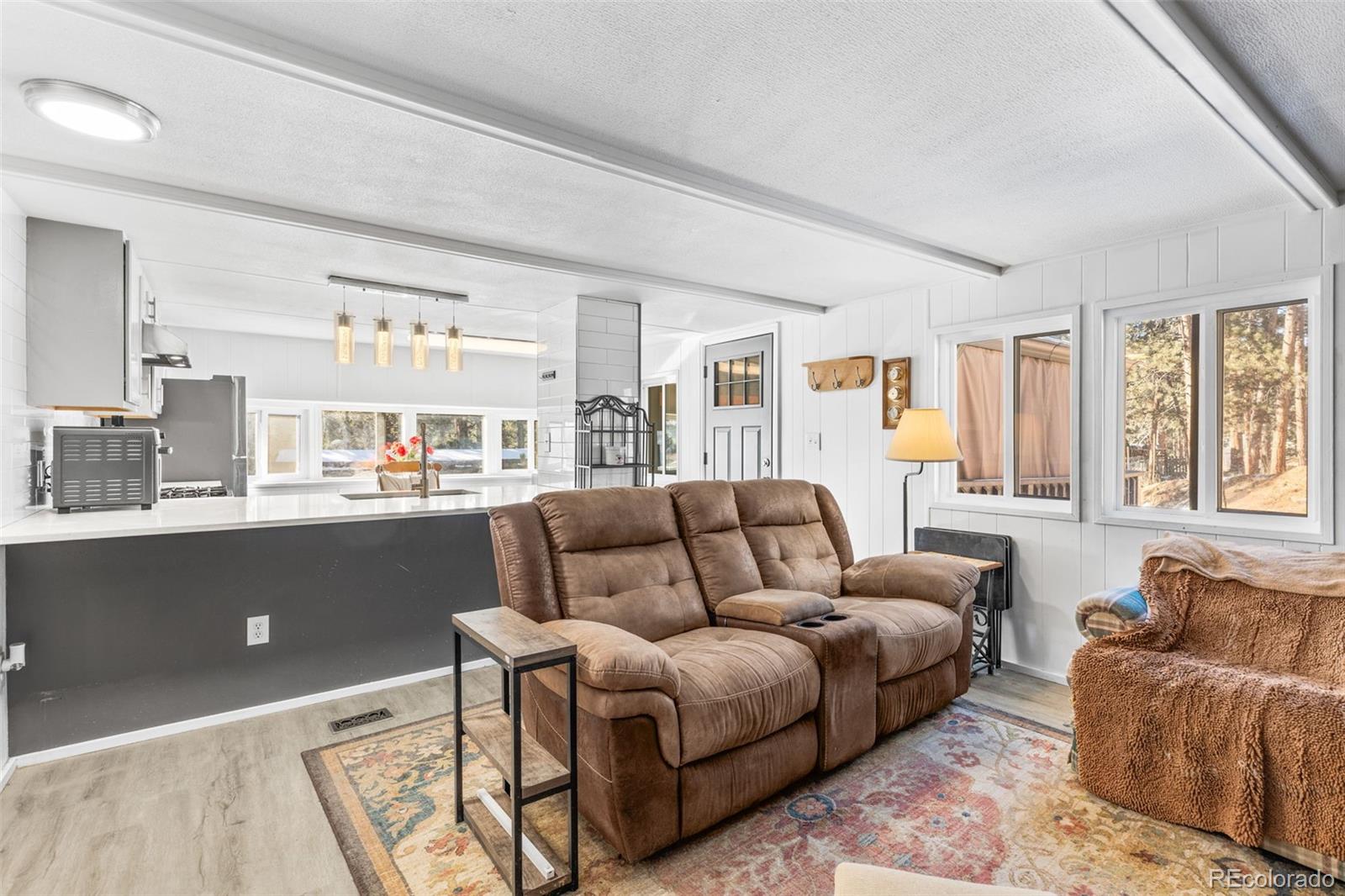 MLS Image #10 for 177  gray street,bailey, Colorado
