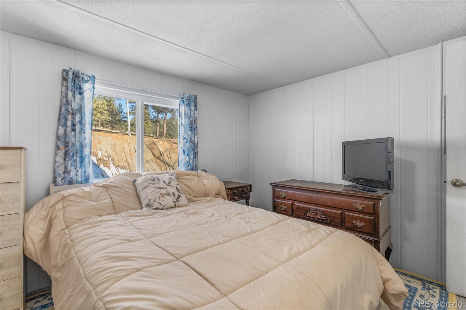 MLS Image #26 for 177  gray street,bailey, Colorado
