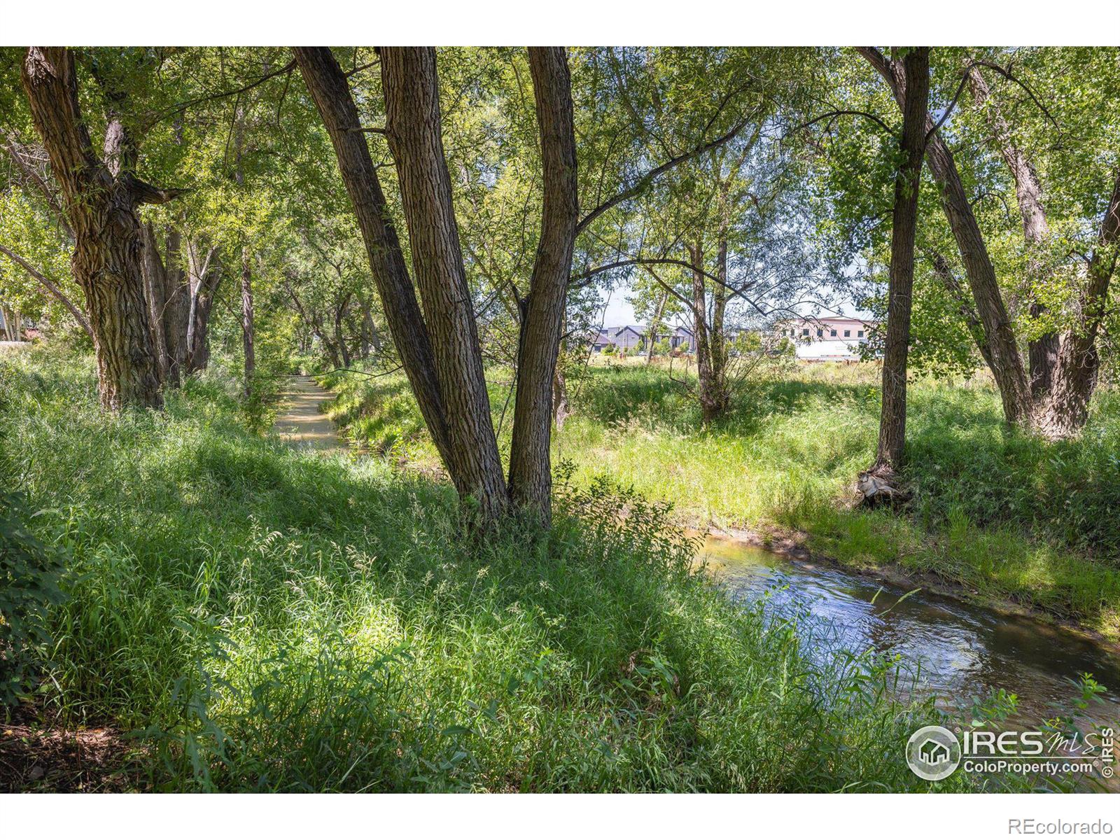 MLS Image #30 for 2105  springs place,longmont, Colorado