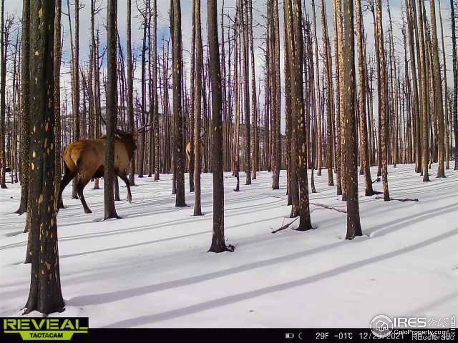 MLS Image #32 for 1055  granite road,bellvue, Colorado