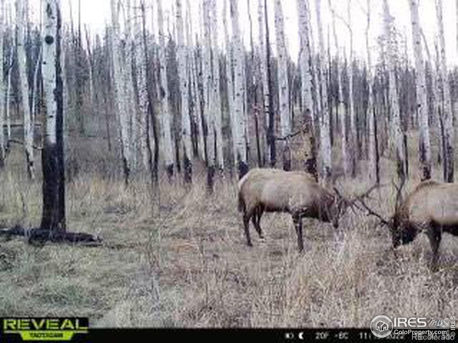 MLS Image #34 for 1055  granite road,bellvue, Colorado