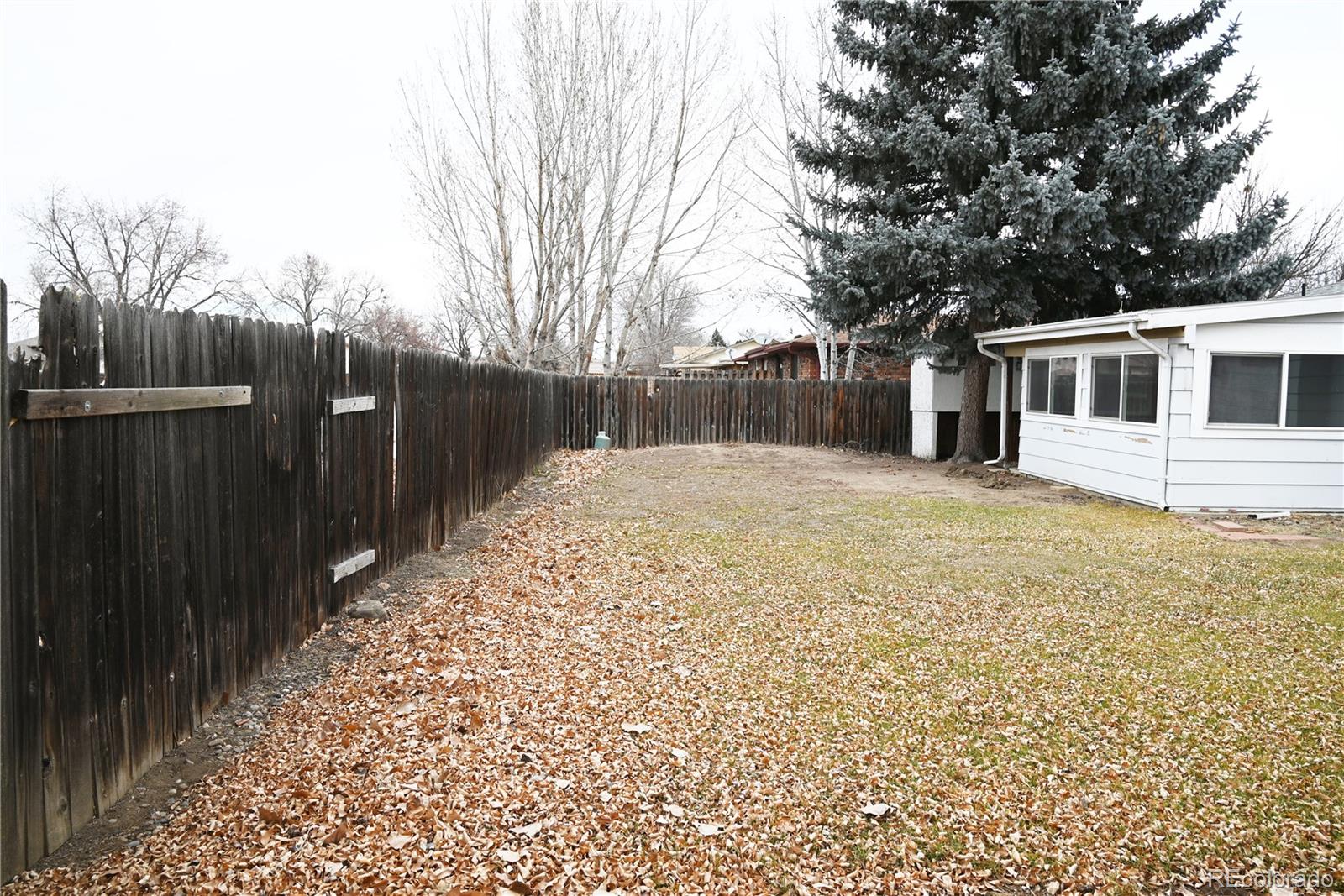 MLS Image #26 for 3017  white elm drive,loveland, Colorado