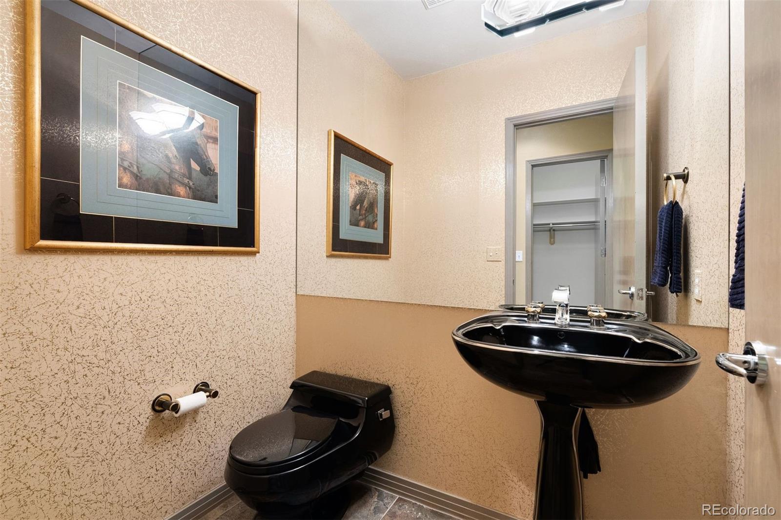 MLS Image #21 for 108  castle pines drive,castle rock, Colorado
