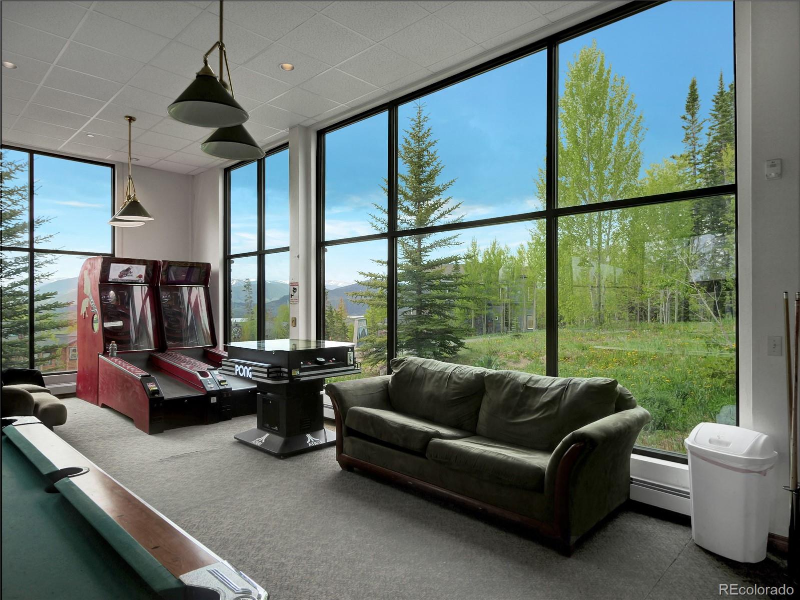 MLS Image #27 for 2300  lodge pole circle,silverthorne, Colorado
