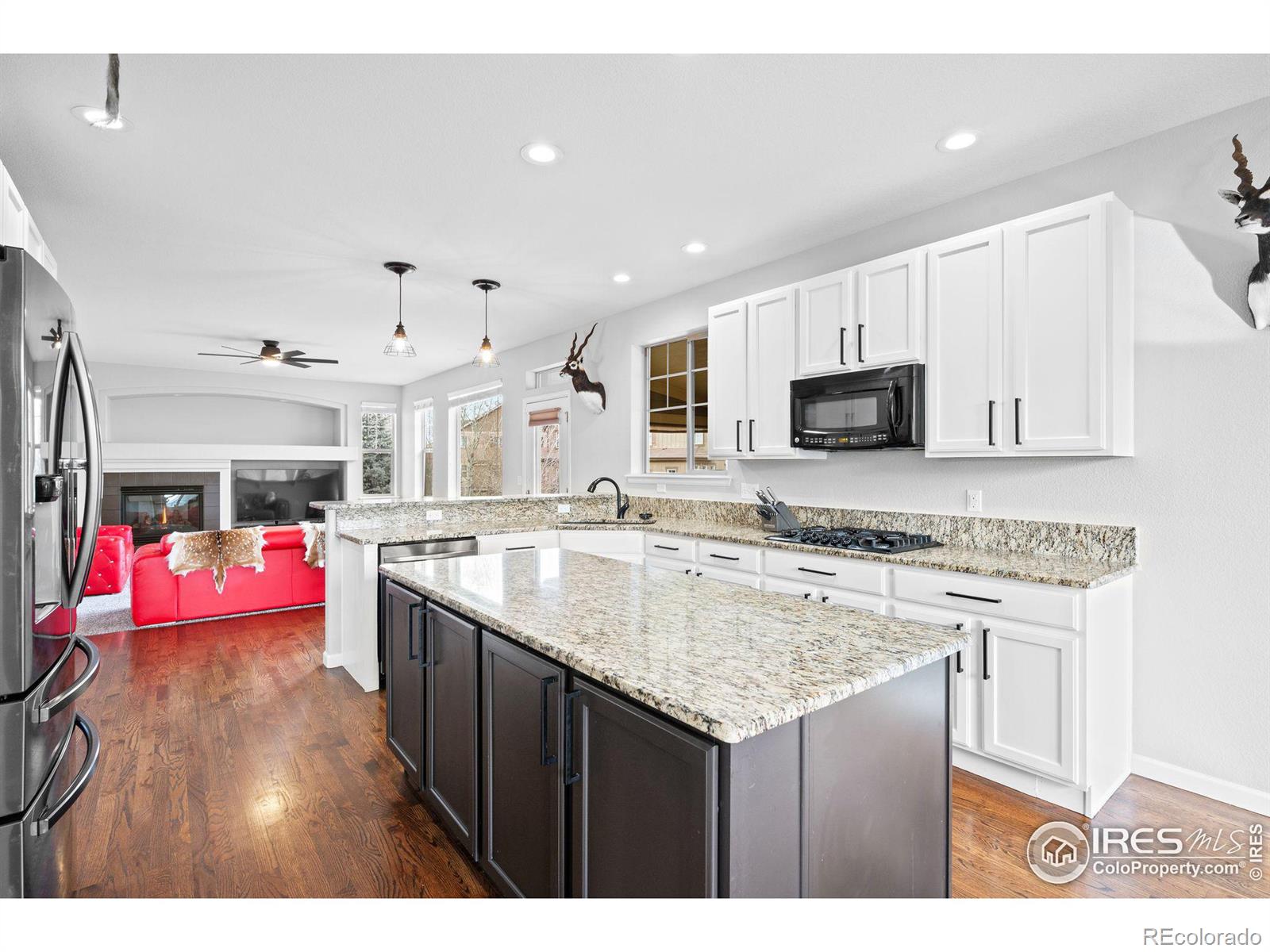 MLS Image #8 for 7690 s blackstone parkway,aurora, Colorado
