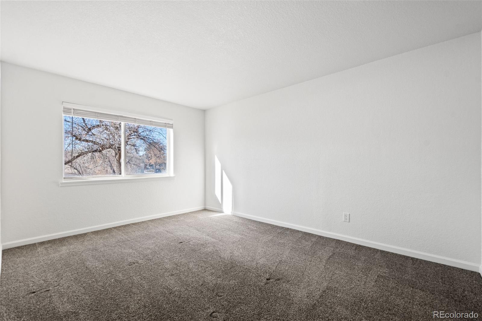 MLS Image #19 for 230 e highline circle,centennial, Colorado