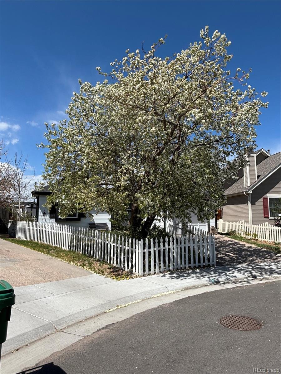CMA Image for 17470 e whitaker drive,Aurora, Colorado