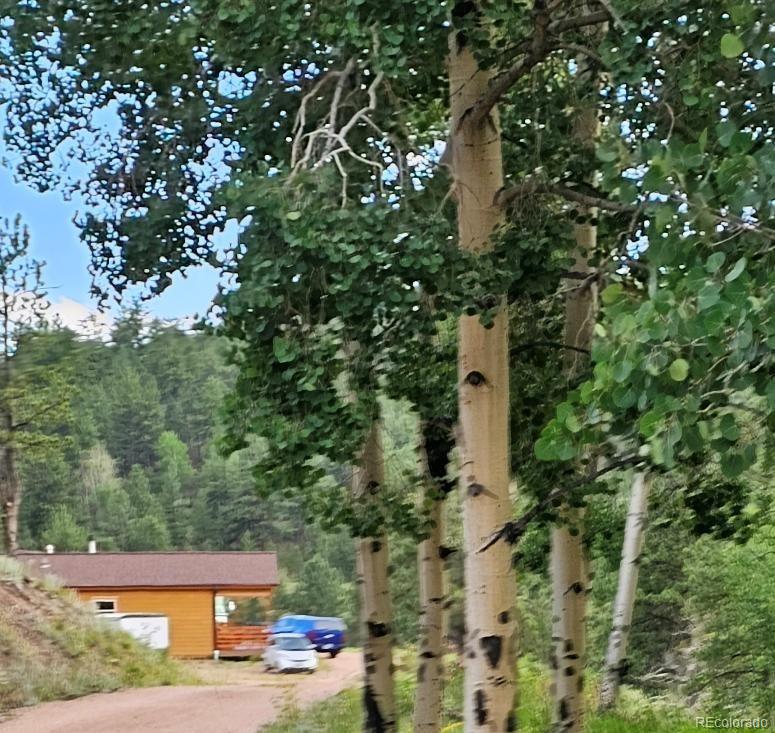 MLS Image #1 for 7275  co-9 ,guffey, Colorado