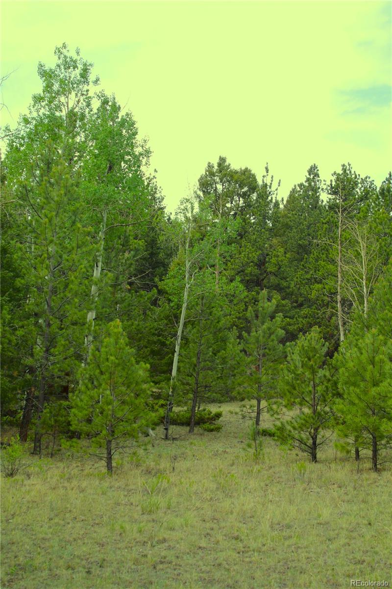 MLS Image #10 for 7275  co-9 ,guffey, Colorado