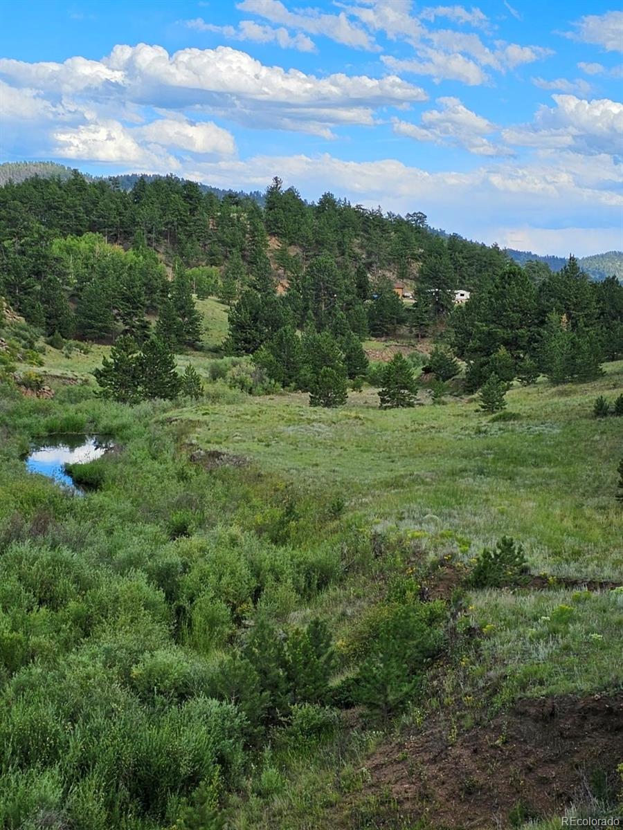 MLS Image #11 for 7275  co-9 ,guffey, Colorado
