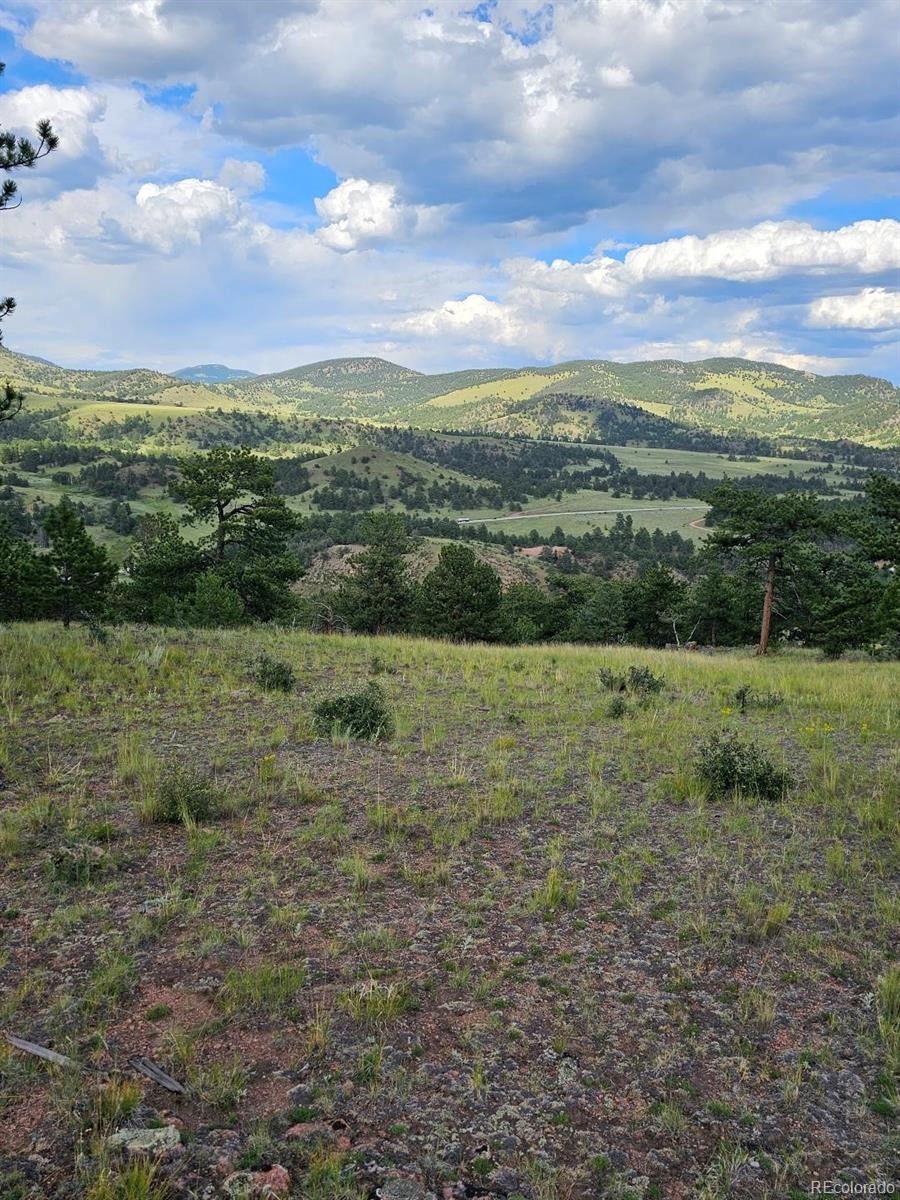 MLS Image #12 for 7275  co-9 ,guffey, Colorado