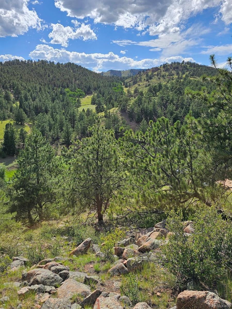MLS Image #13 for 7275  co-9 ,guffey, Colorado