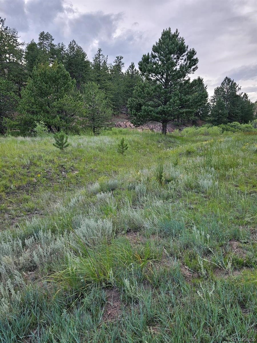 MLS Image #16 for 7275  co-9 ,guffey, Colorado
