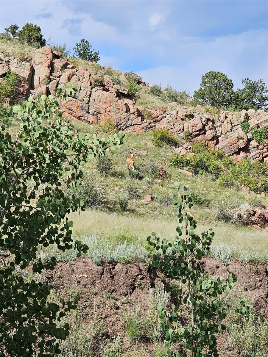 MLS Image #17 for 7275  co-9 ,guffey, Colorado