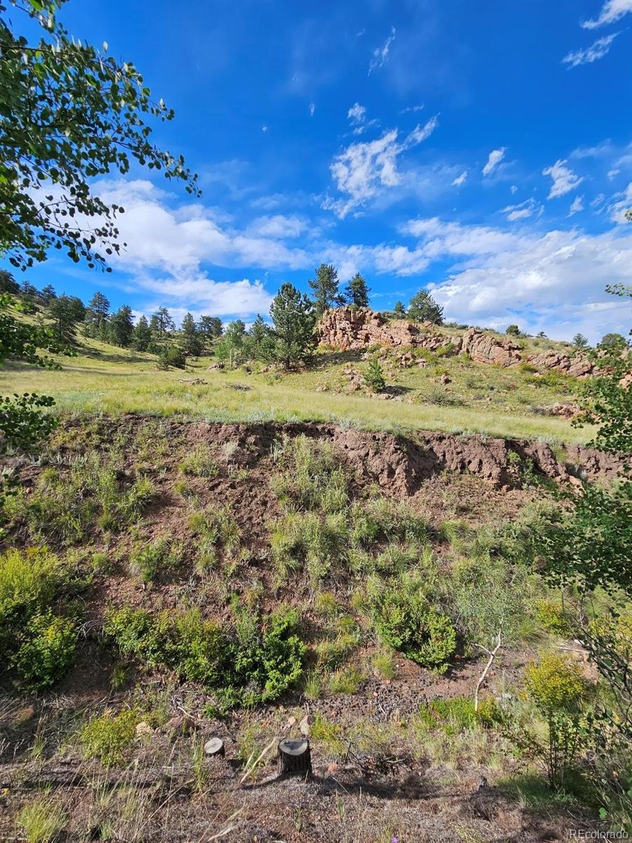 MLS Image #18 for 7275  co-9 ,guffey, Colorado