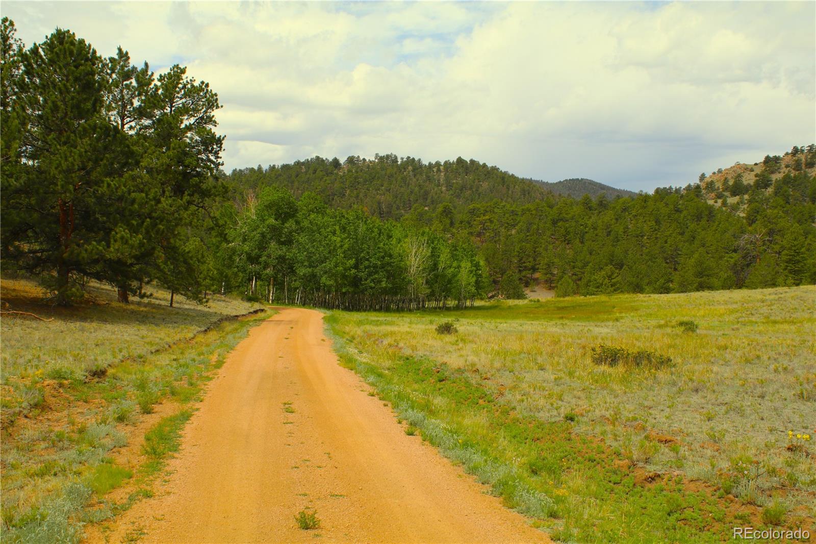 MLS Image #19 for 7275  co-9 ,guffey, Colorado
