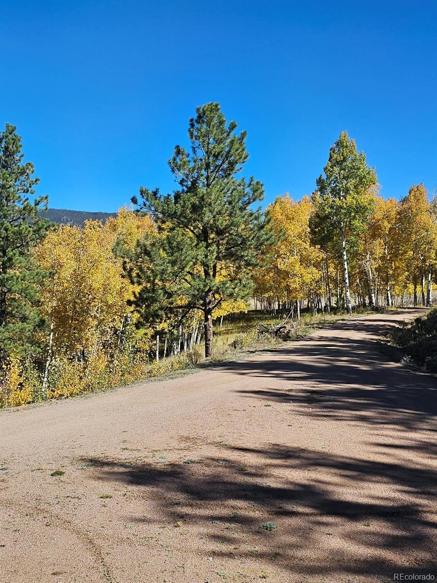MLS Image #2 for 7275  co-9 ,guffey, Colorado