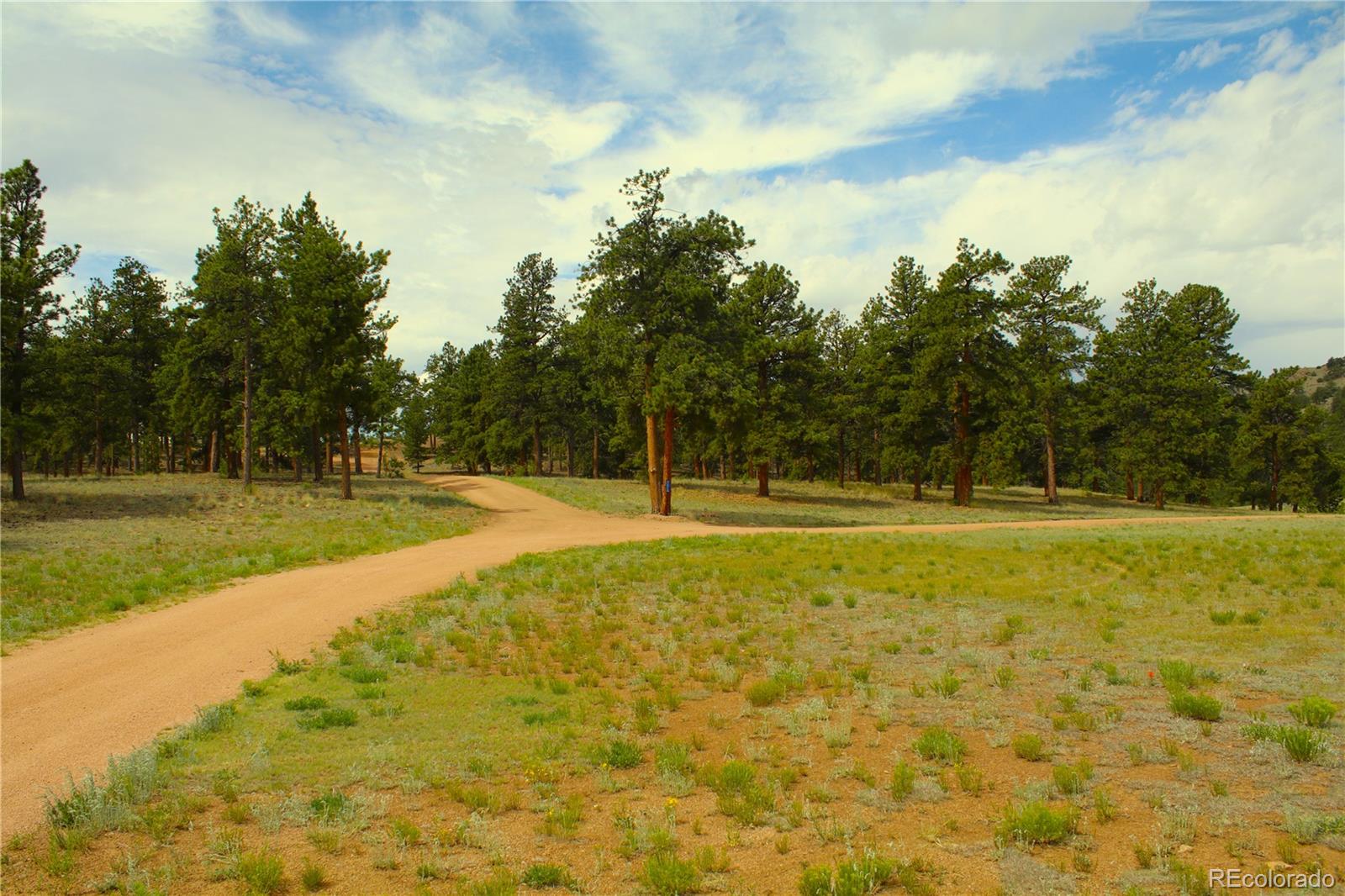 MLS Image #20 for 7275  co-9 ,guffey, Colorado