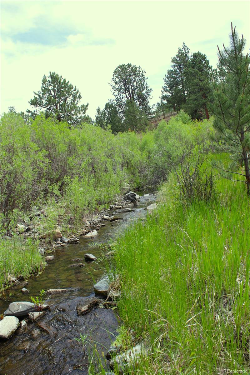 MLS Image #21 for 7275  co-9 ,guffey, Colorado