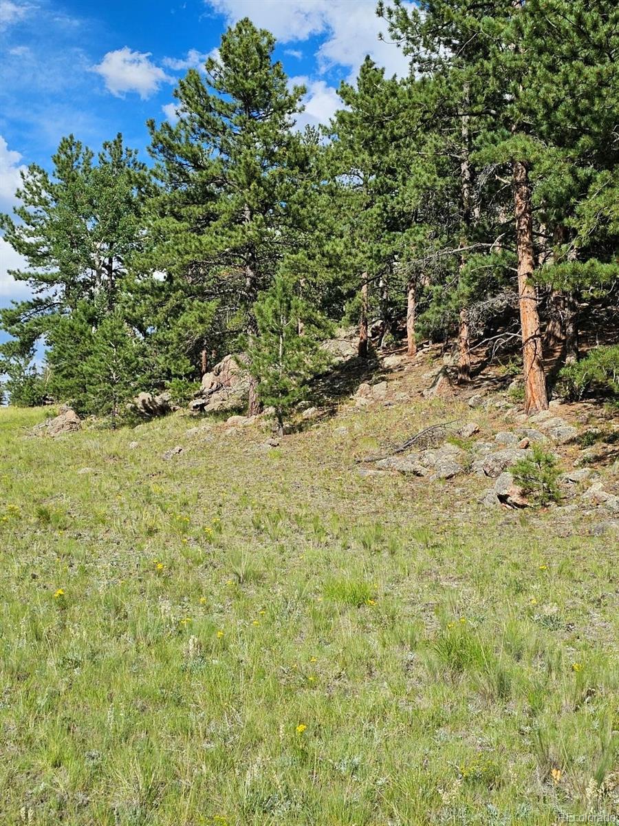 MLS Image #22 for 7275  co-9 ,guffey, Colorado