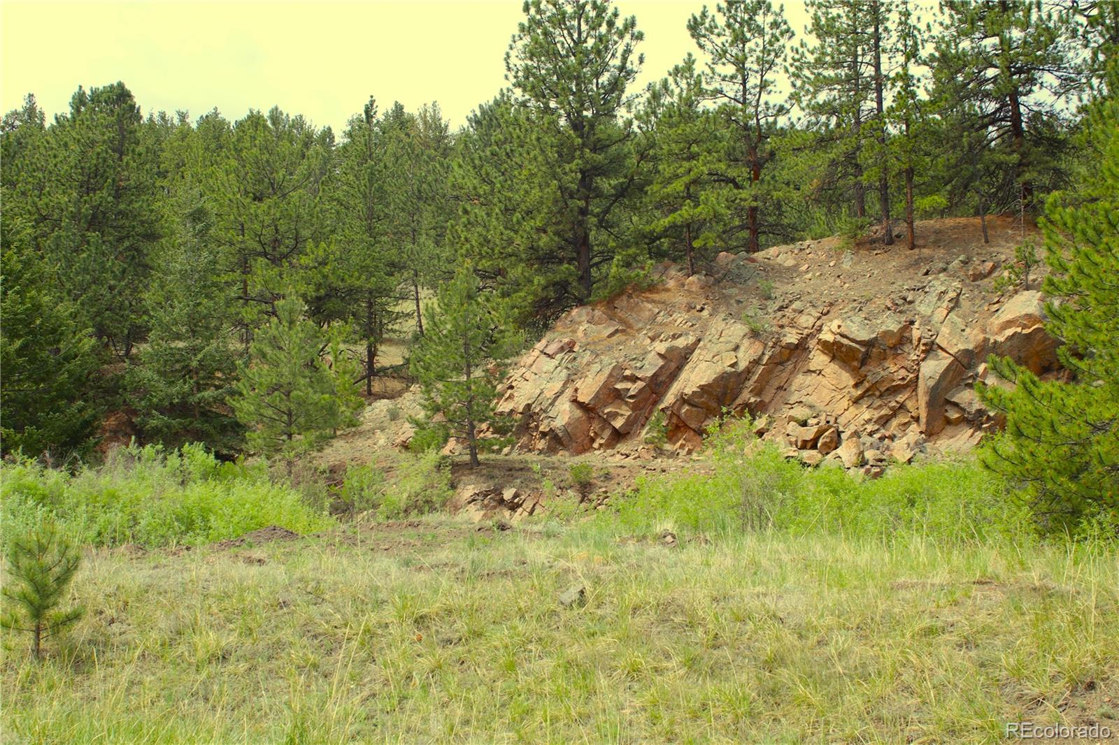 MLS Image #23 for 7275  co-9 ,guffey, Colorado
