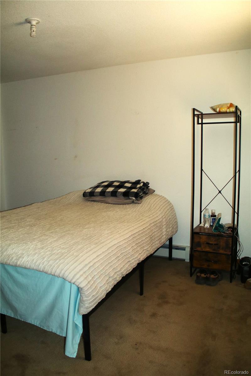 MLS Image #32 for 7275  co-9 ,guffey, Colorado