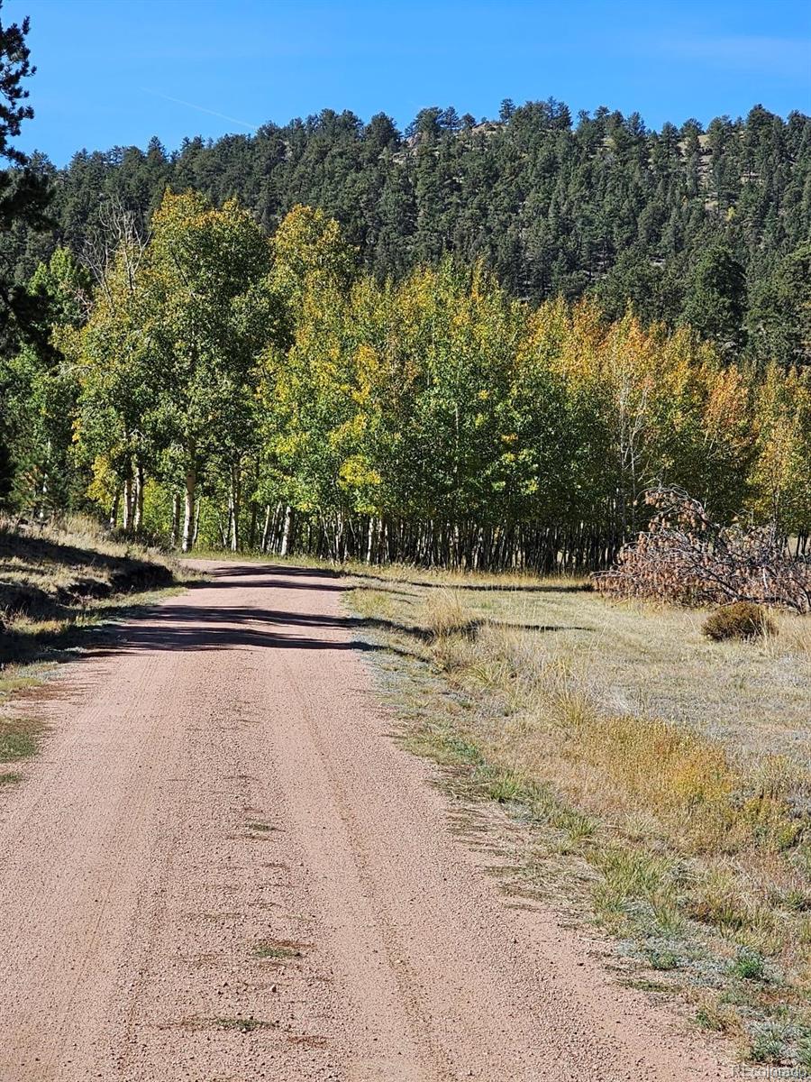 MLS Image #4 for 7275  co-9 ,guffey, Colorado