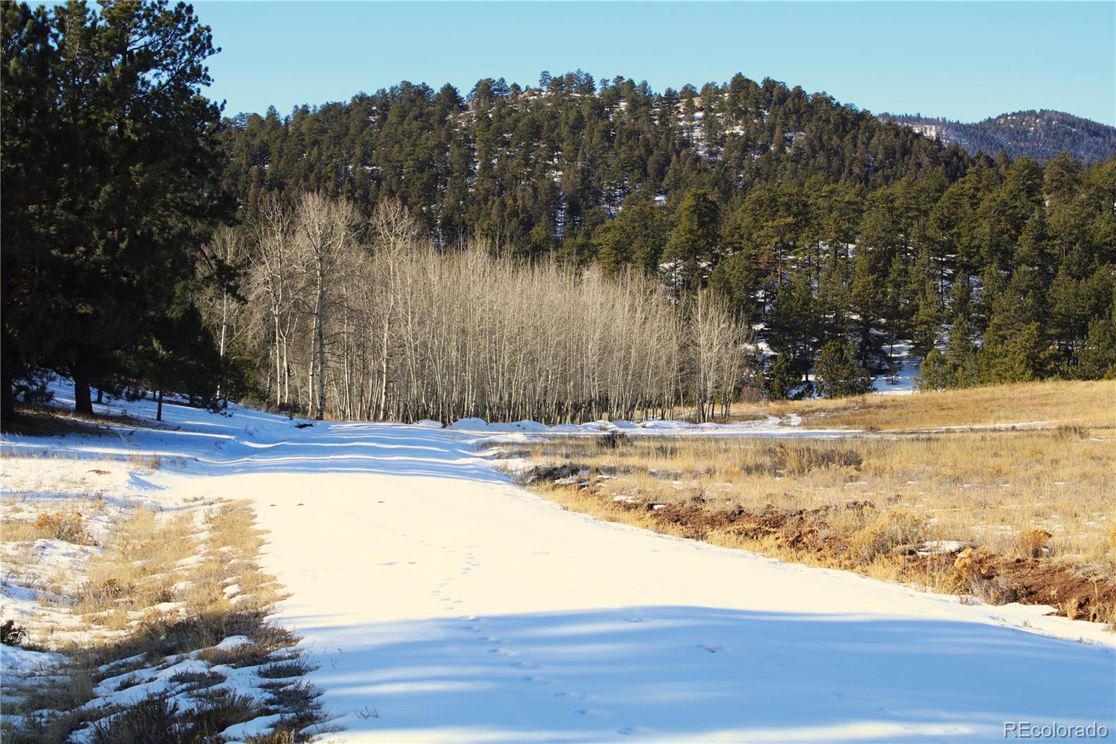 MLS Image #8 for 7275  co-9 ,guffey, Colorado
