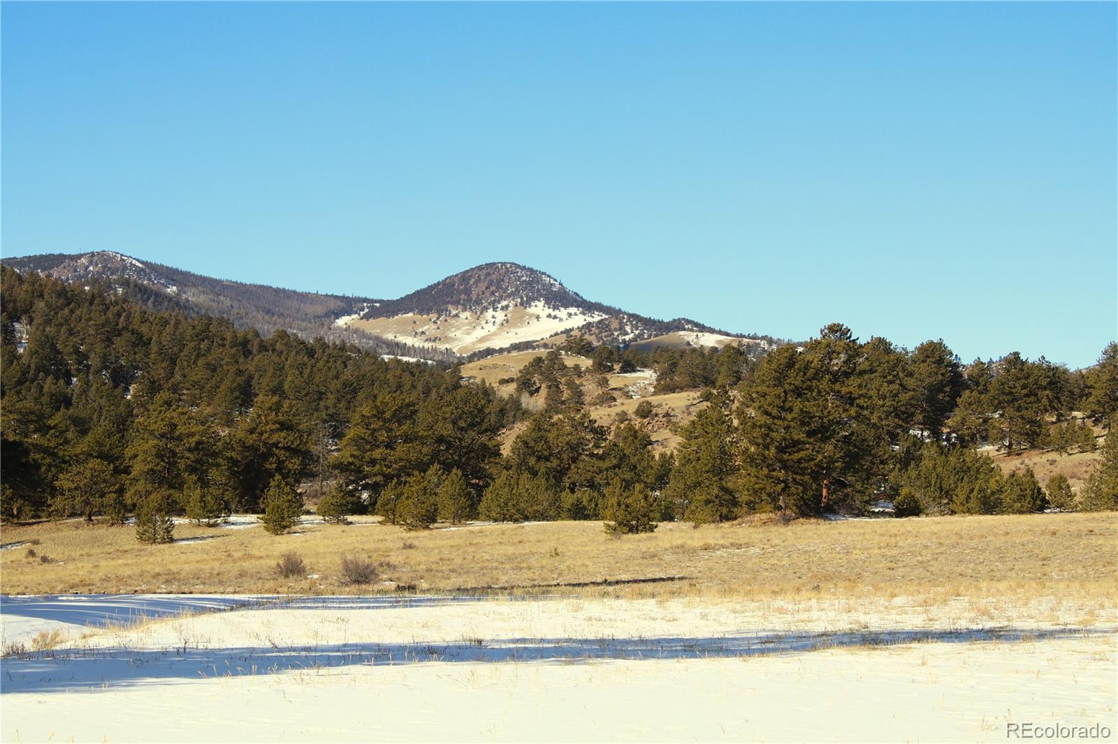 MLS Image #9 for 7275  co-9 ,guffey, Colorado