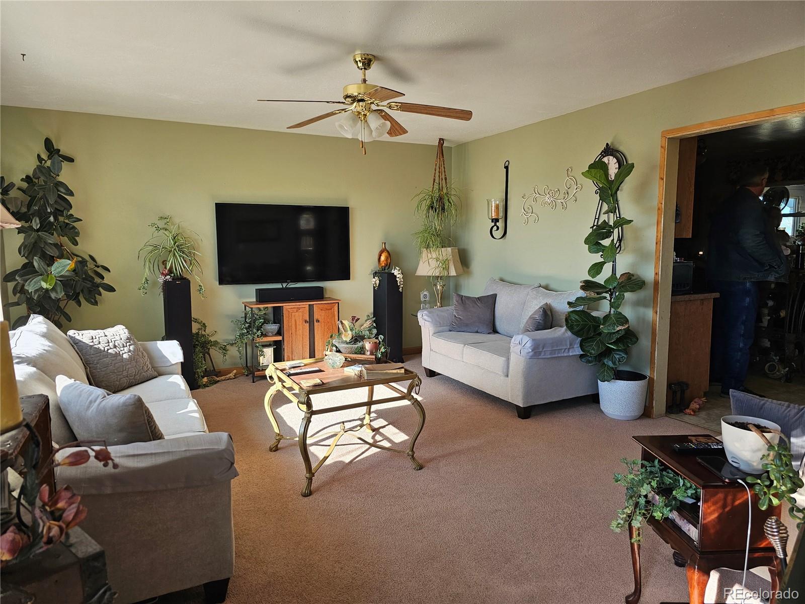 MLS Image #3 for 7090  vista way,alamosa, Colorado