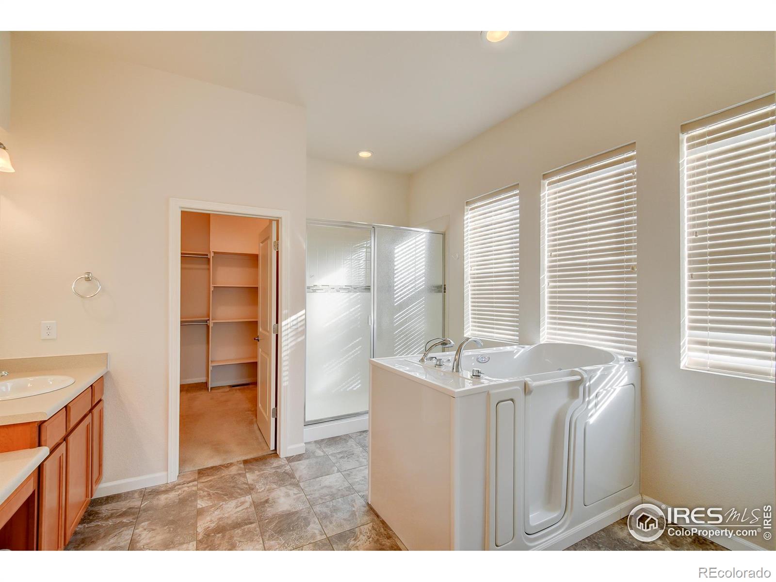 MLS Image #16 for 8685  blackwood drive,windsor, Colorado