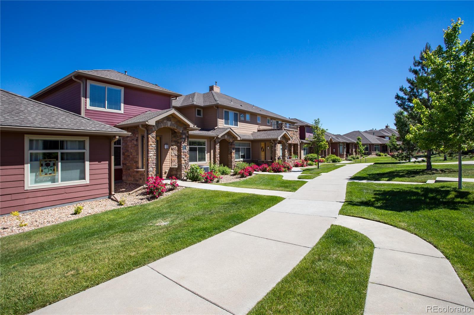 MLS Image #26 for 8602  gold peak drive,highlands ranch, Colorado