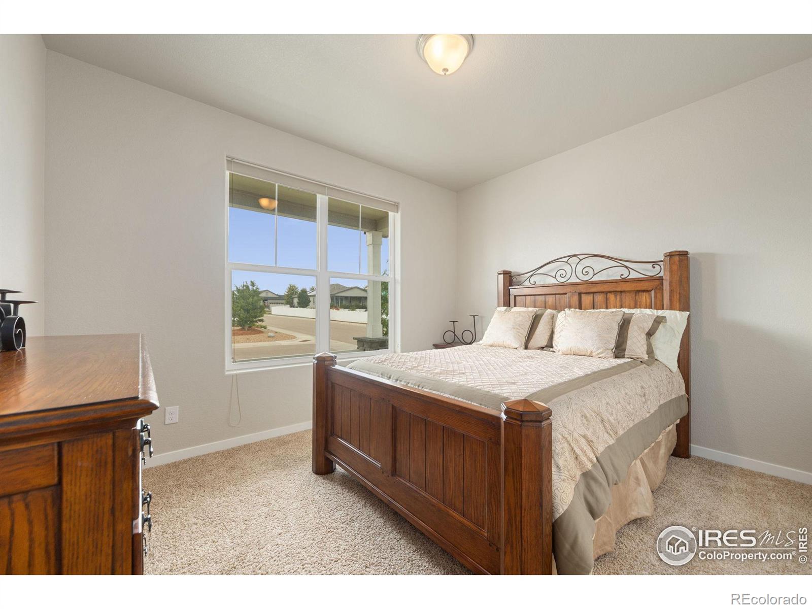 MLS Image #21 for 5345  clarence drive,windsor, Colorado