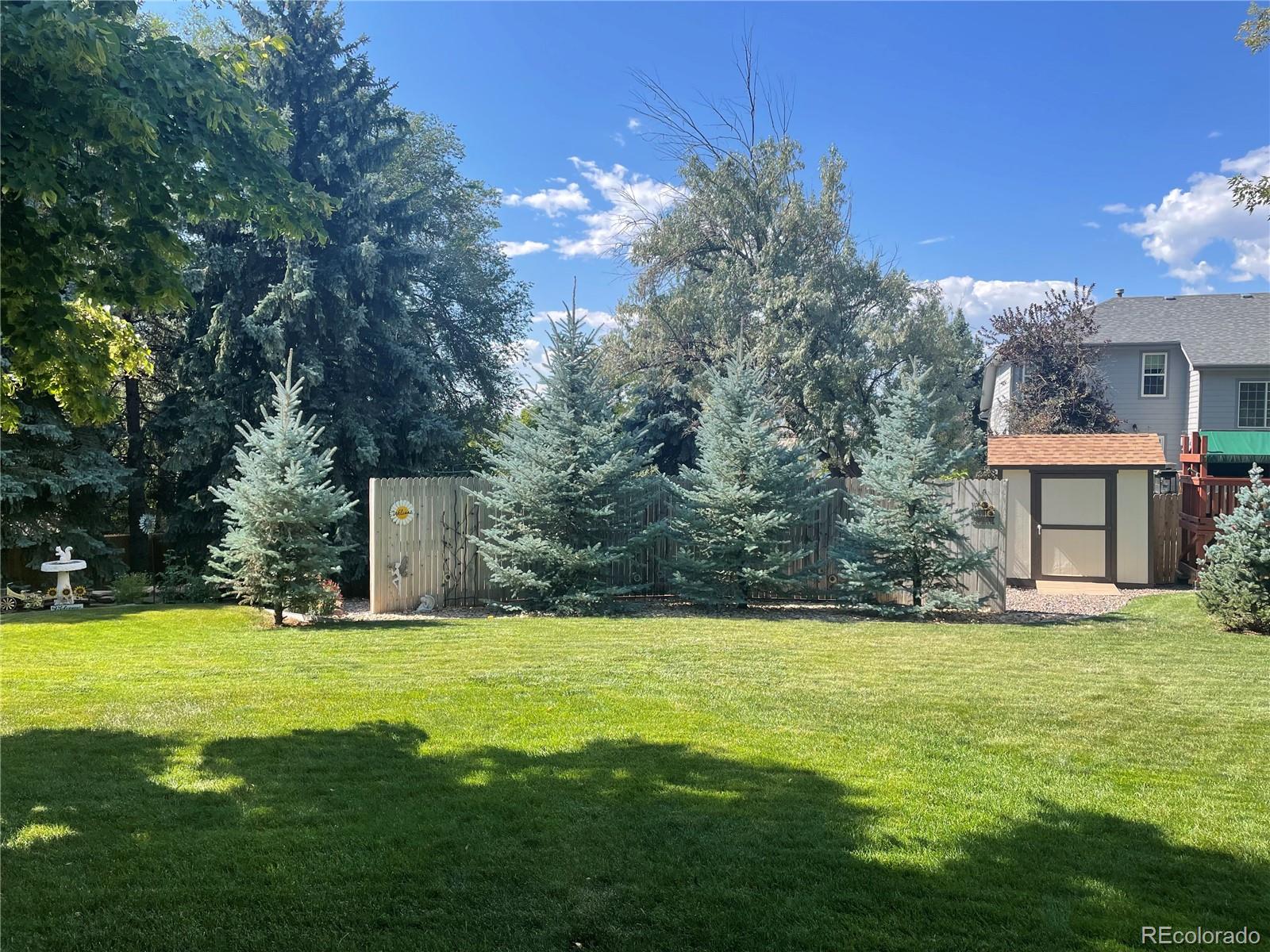 MLS Image #10 for 10933  zephyr street,broomfield, Colorado