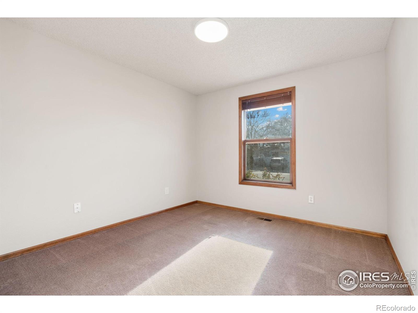 MLS Image #14 for 1029 n redbud drive,loveland, Colorado