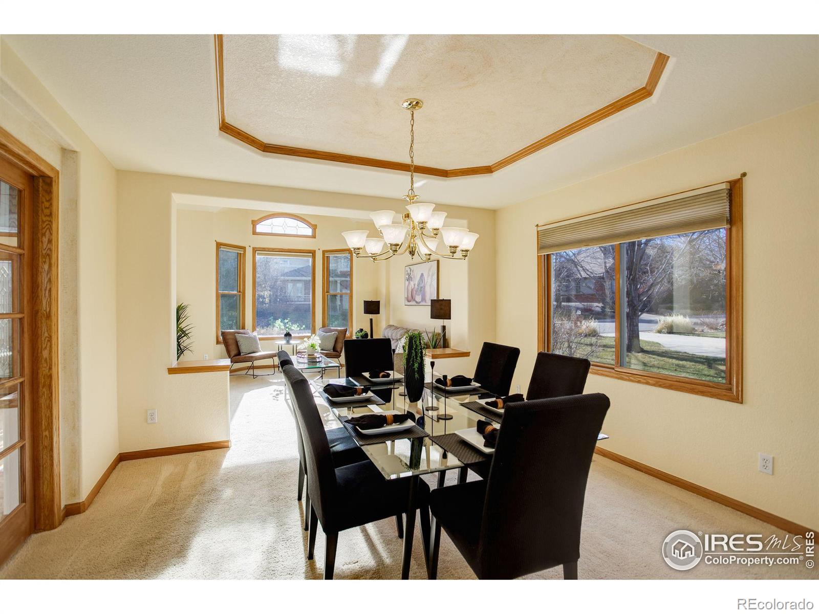 MLS Image #10 for 5320  augusta trail,fort collins, Colorado