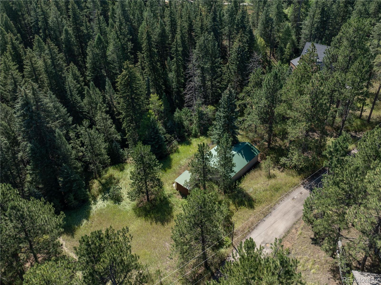 MLS Image #0 for 5925  herzman drive,evergreen, Colorado