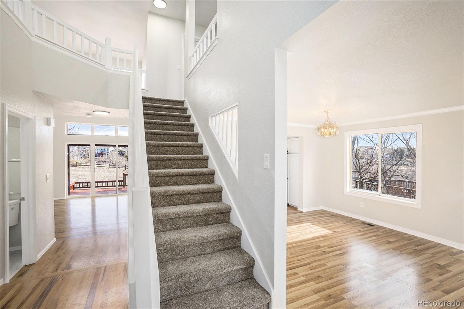 MLS Image #4 for 7210  cotton drive,colorado springs, Colorado