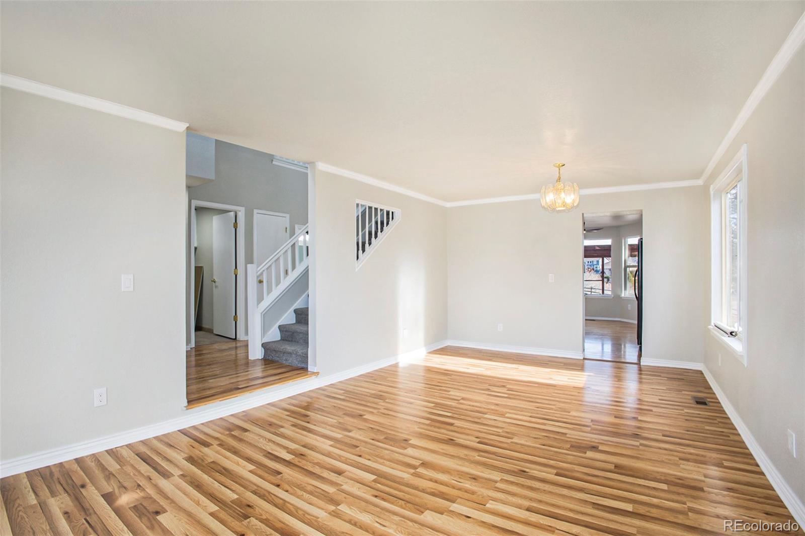 MLS Image #5 for 7210  cotton drive,colorado springs, Colorado