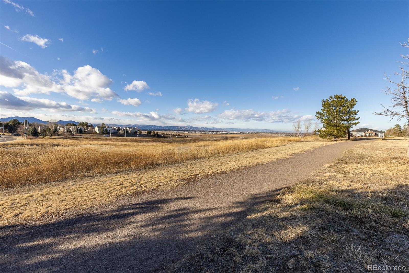 MLS Image #32 for 1136  opal street,broomfield, Colorado