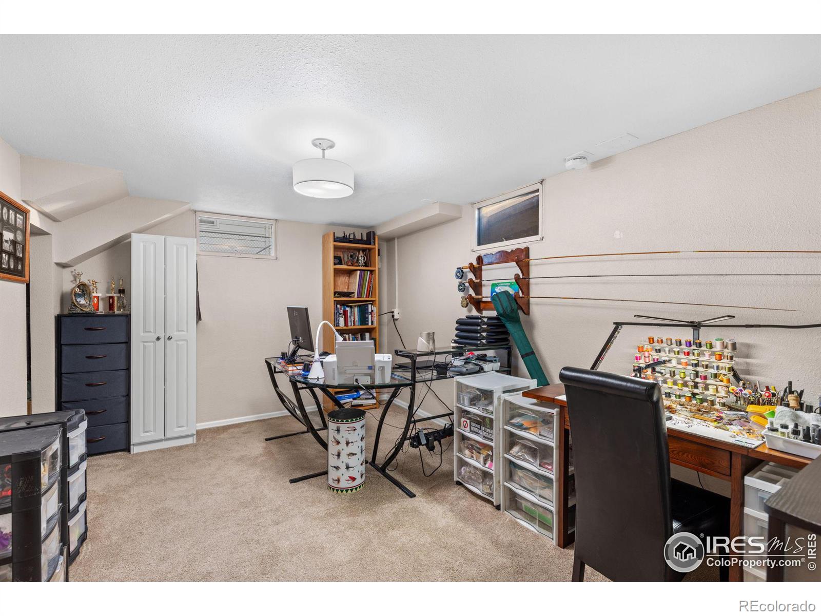 MLS Image #21 for 1338  aspen place,longmont, Colorado