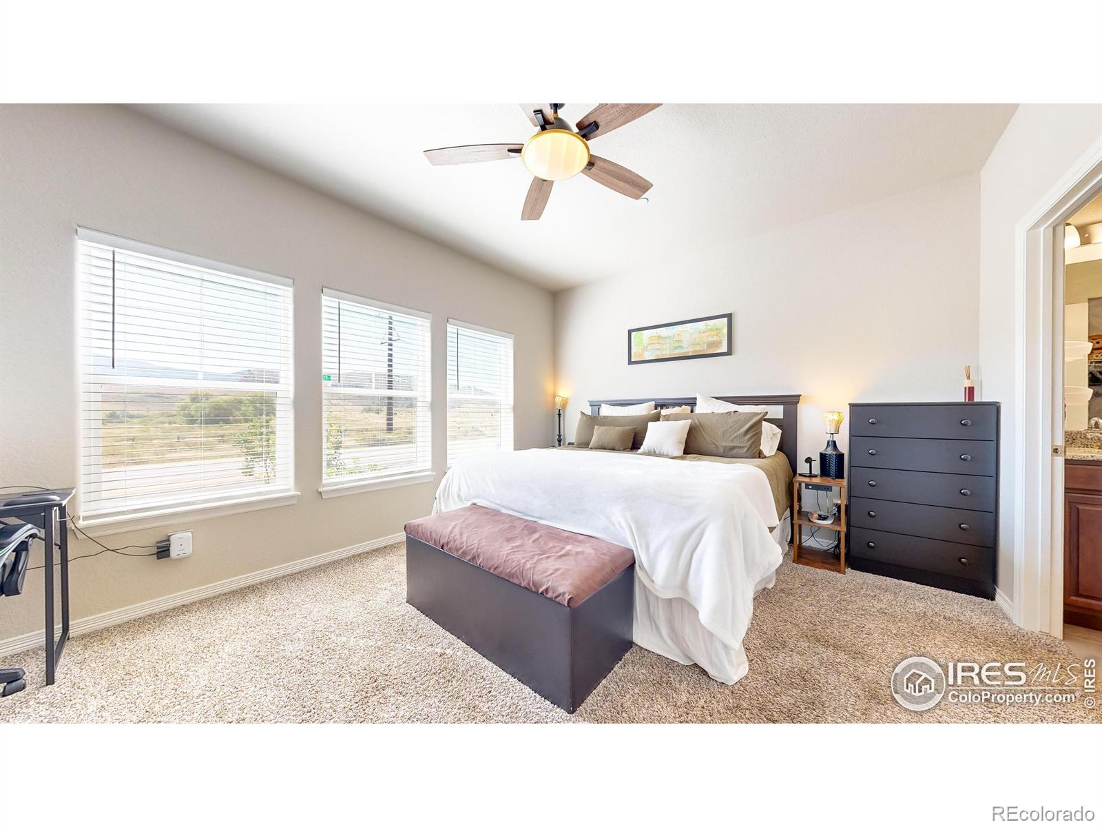 MLS Image #14 for 2445  ridge top drive,fort collins, Colorado
