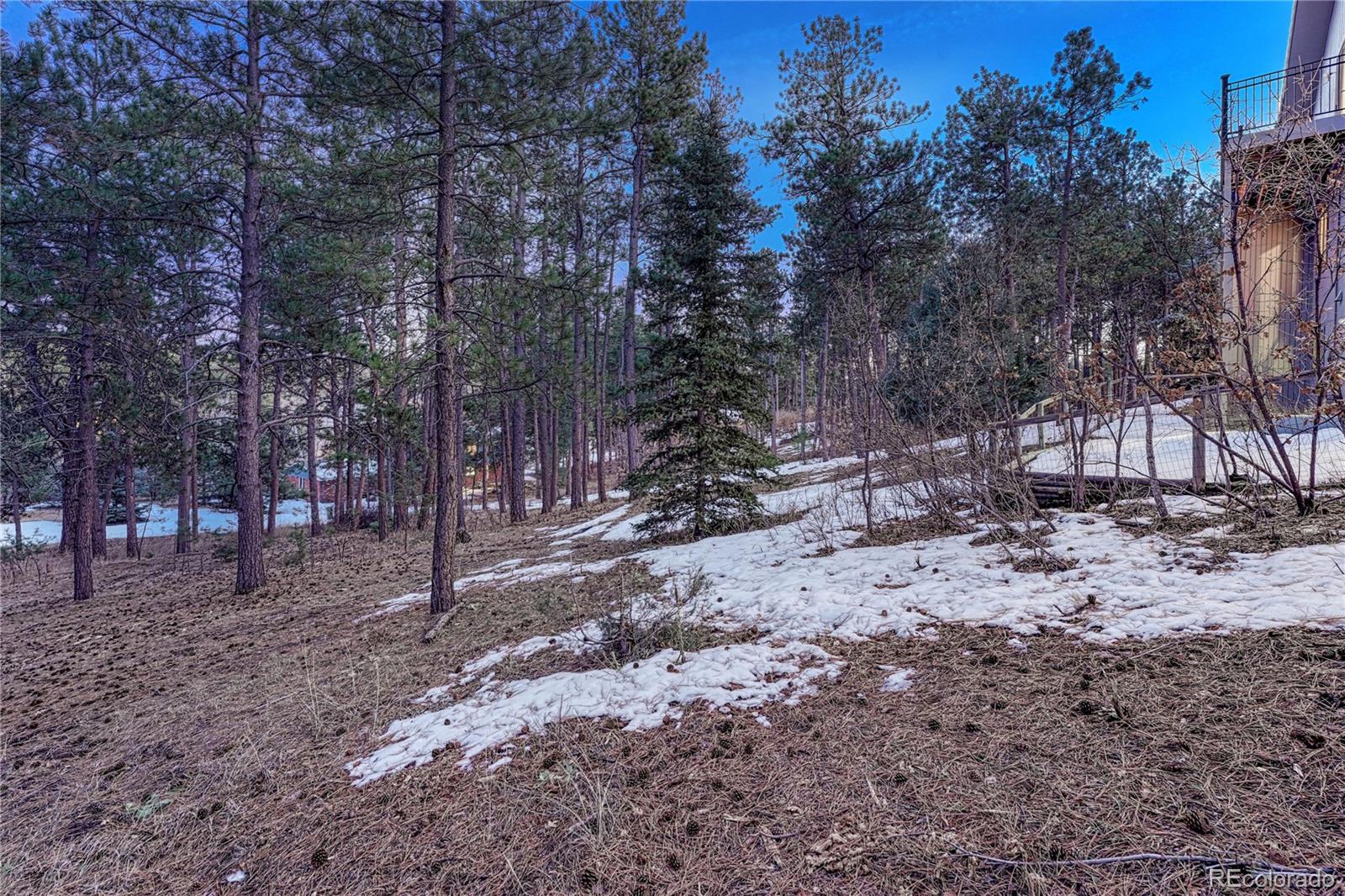 MLS Image #33 for 19335  greenwood drive,monument, Colorado