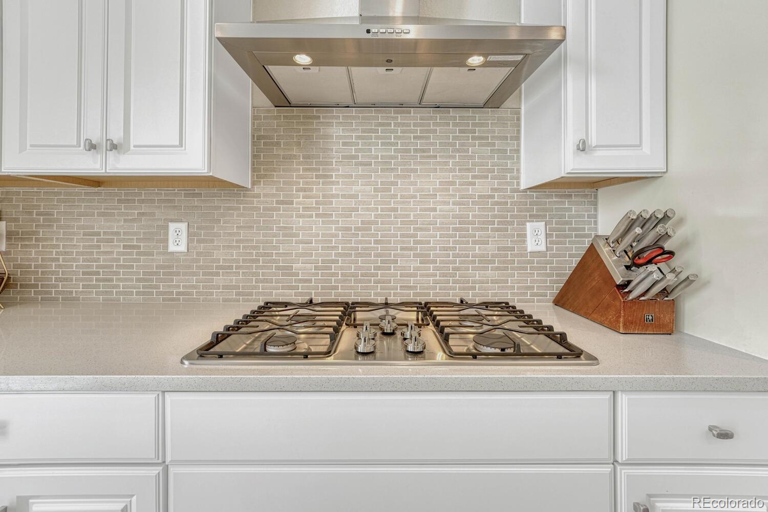 MLS Image #14 for 13353  amber sky street,parker, Colorado