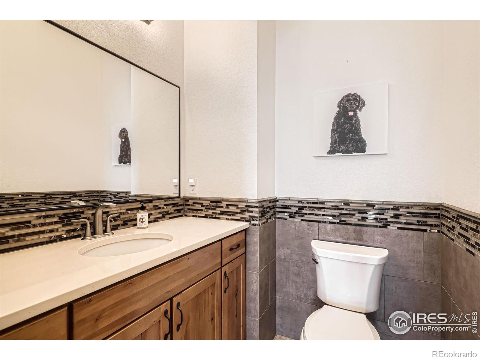 MLS Image #13 for 2900  casalon circle,superior, Colorado