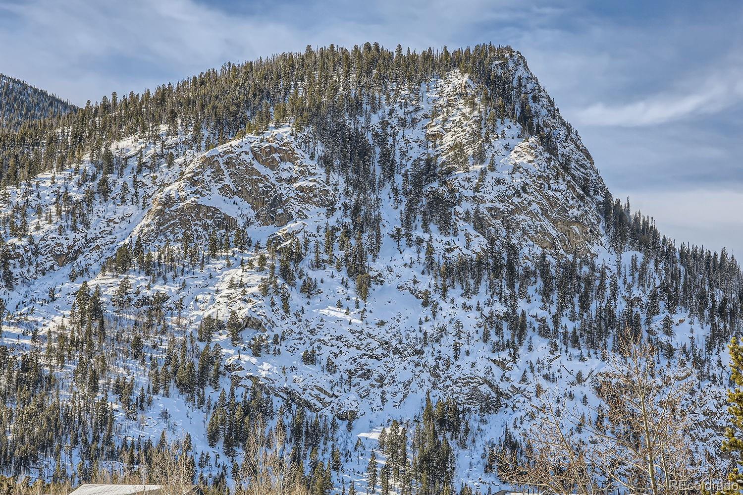 MLS Image #25 for 309  galena street,frisco, Colorado